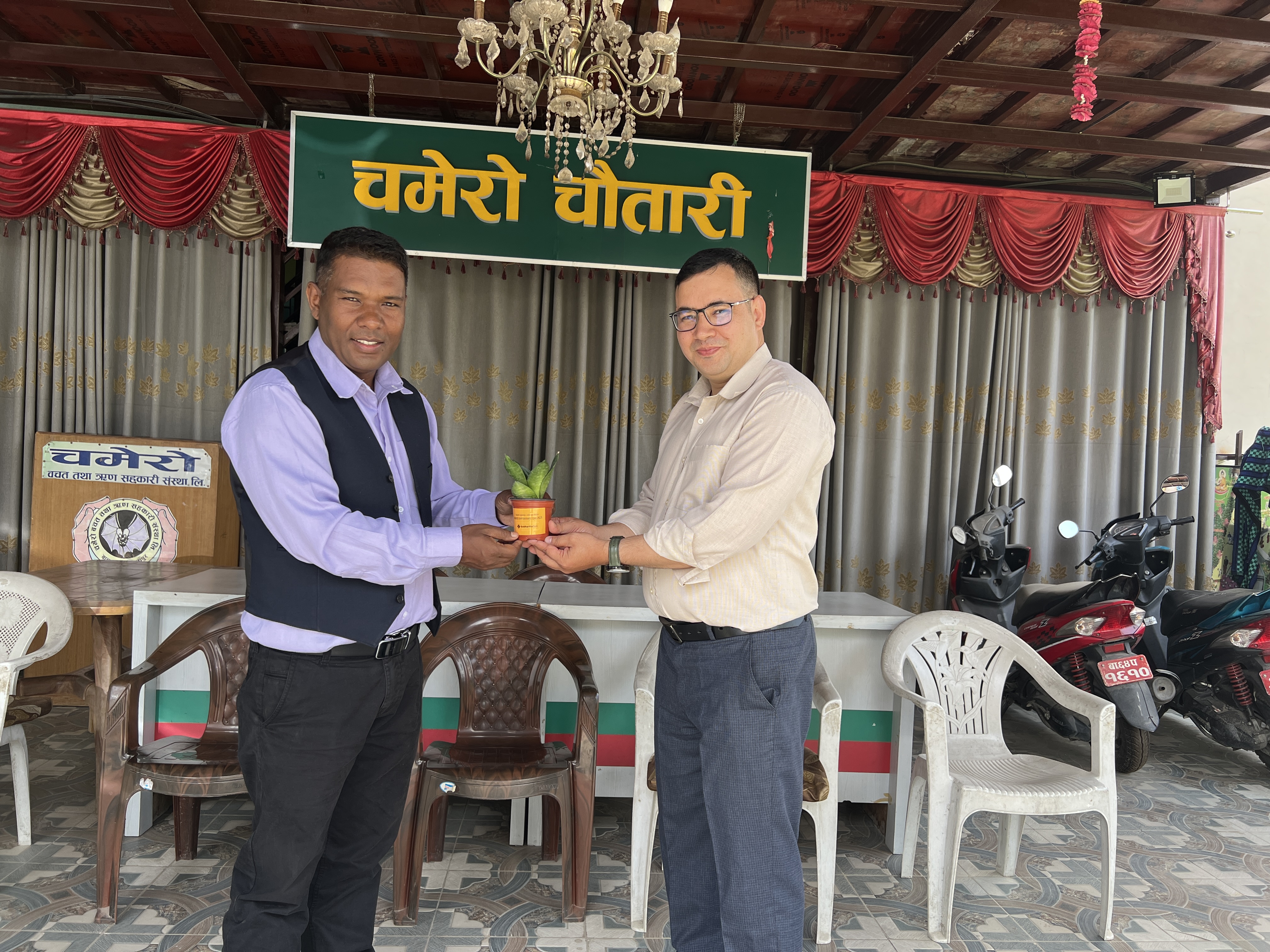 Plant Distribution on the Occasion of World Environment Day 2025